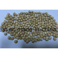 Organic Chickpeas with Different Sizes